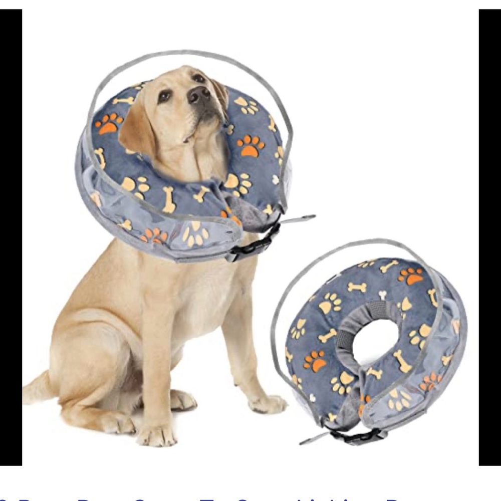 NWT Crazy Felix gray plush 2 in  1 inflatable dog cone collar size large